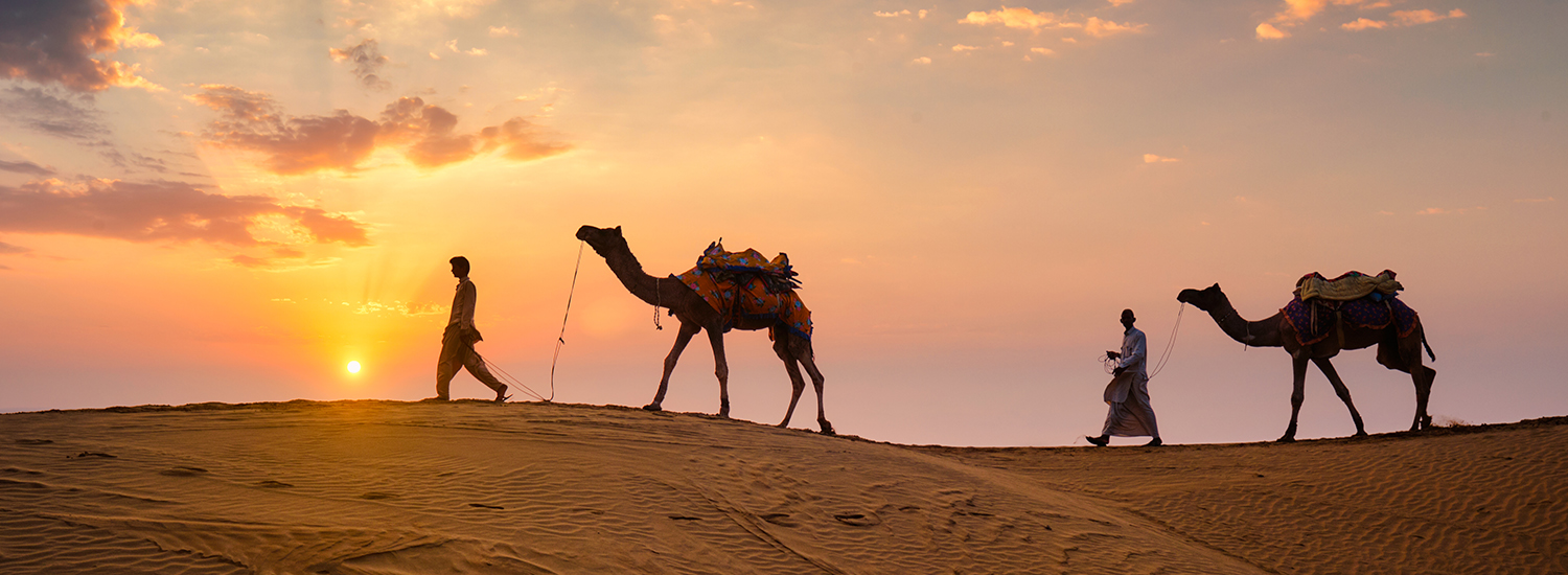 Cultural Tours